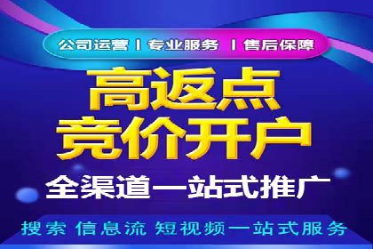 SEM托管成功案例：揭秘高效广告投放策略
